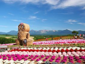 Shikisai no oka, Bie